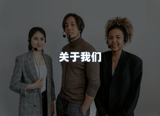 专业团队